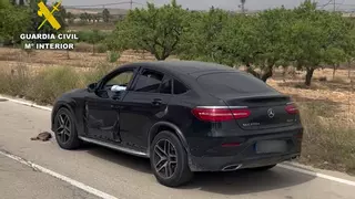 Arrojan a un gato a la carretera desde un coche de alta gama y lo atropellan en Murcia