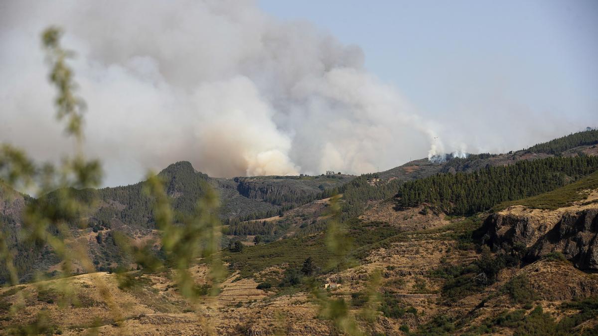 El incendio declarado en Tejeda (Gran Canaria) afecta a 200 hectáreas y podría pasar a nivel 2