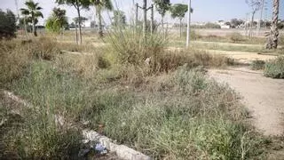 La Avenida del Cantón, una jungla a la entrada de Cartagena