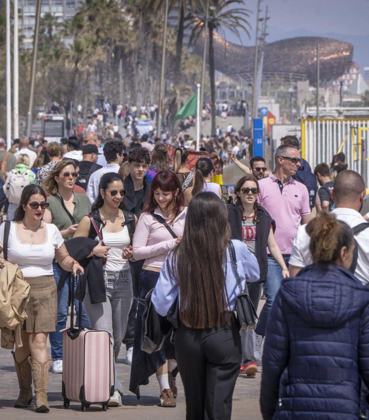 Espanya suma més de 230.000 ocupats a l’abril Espanya suma més de 230.000 ocupats a l’abril