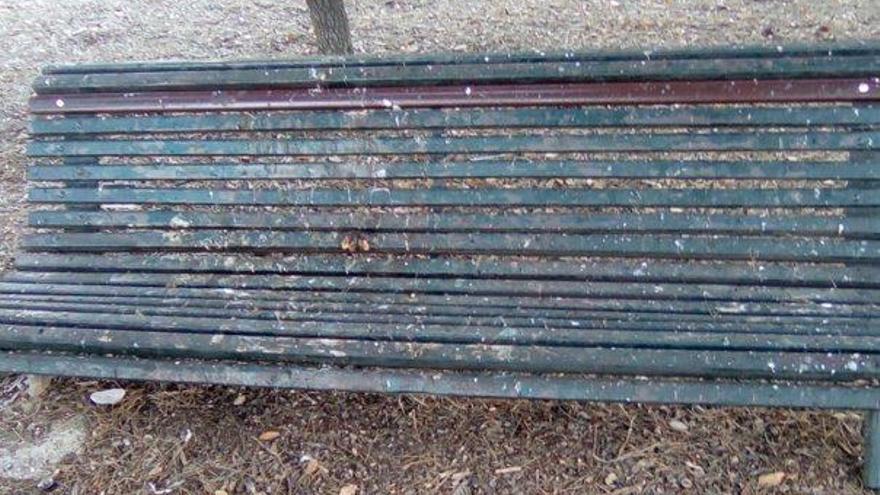 Un banc totalment inservible pels excrements.