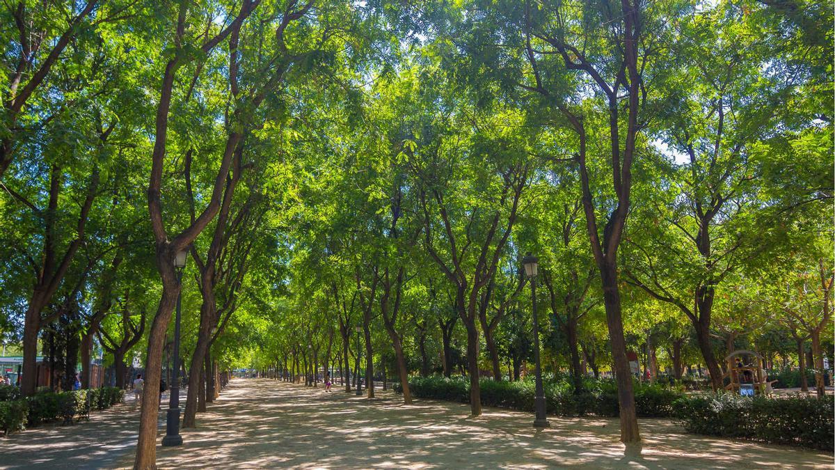 Así es el parque más histórico de Sevilla, con todo tipo de atracciones, plantas y bares