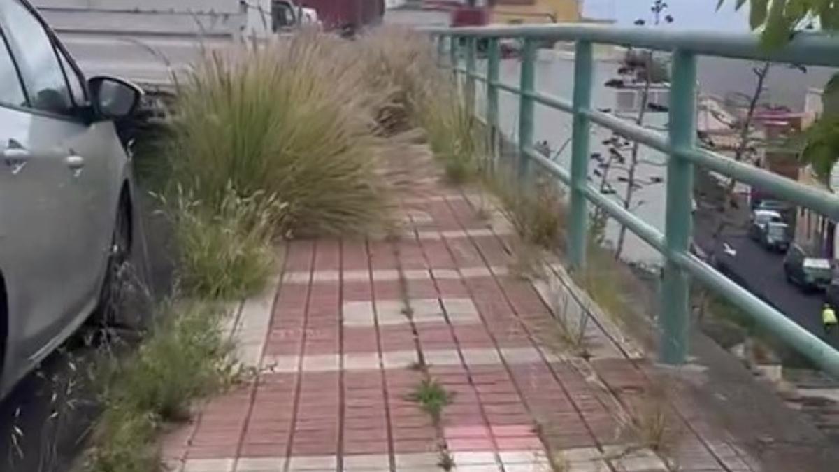 Una de las calles del barrio de El Fondillo, en Las Palmas de Gran Canaria, con la acera invadida por la vegetación.