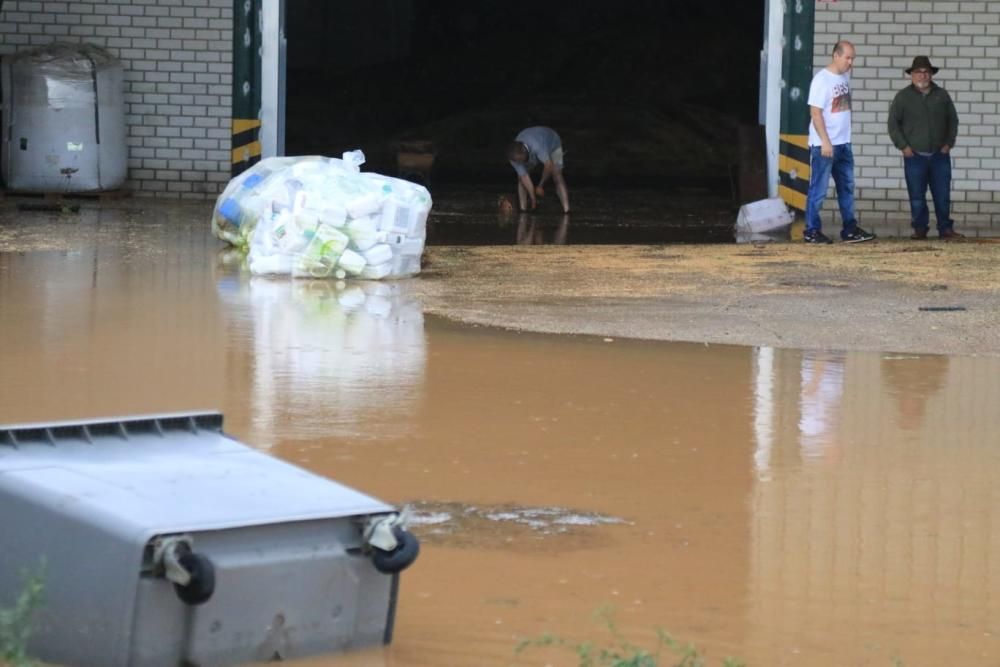 Las imágenes de la espectacular granizada en Roales