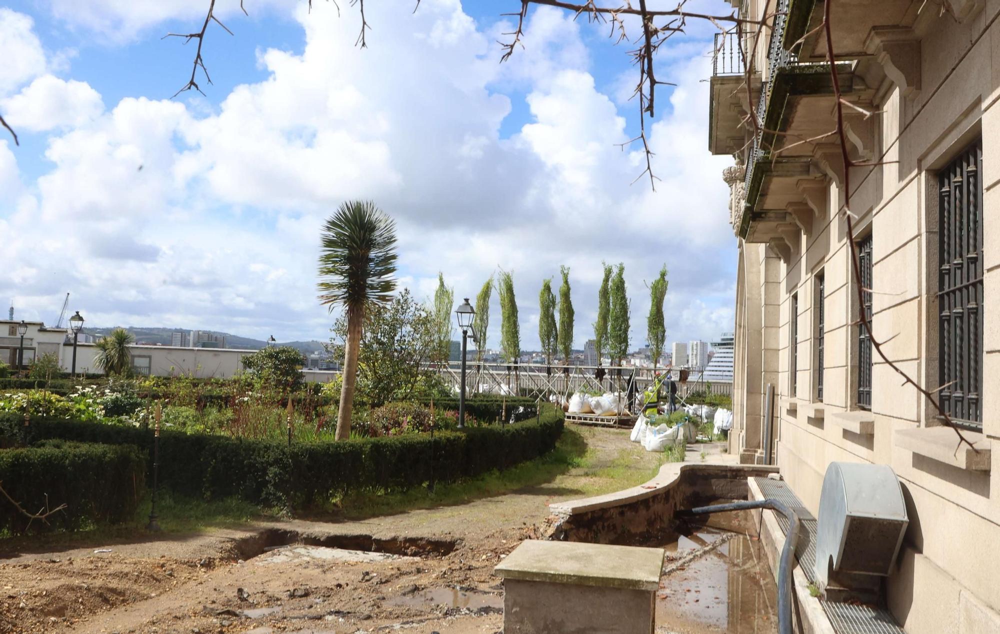 Plantación de los nuevos olmos del Jardín de San Carlos