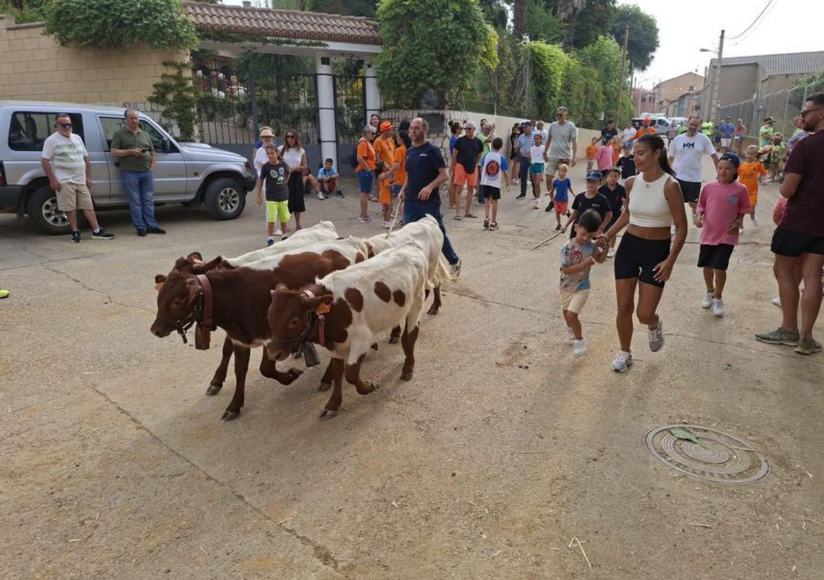 Actividades para todos los gustos y edades en la última jornada festiva en Castrogonzalo |