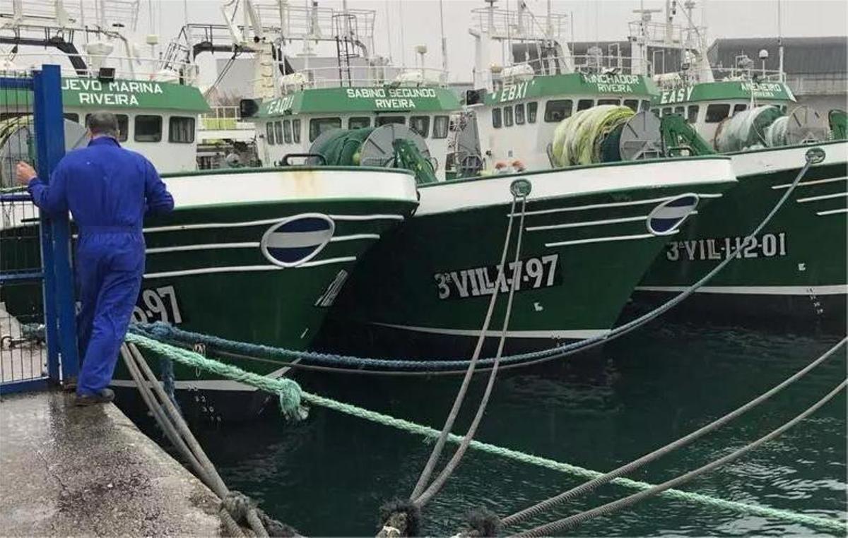 Embarcacións pesqueiras amarradas a porto en Ribeira.