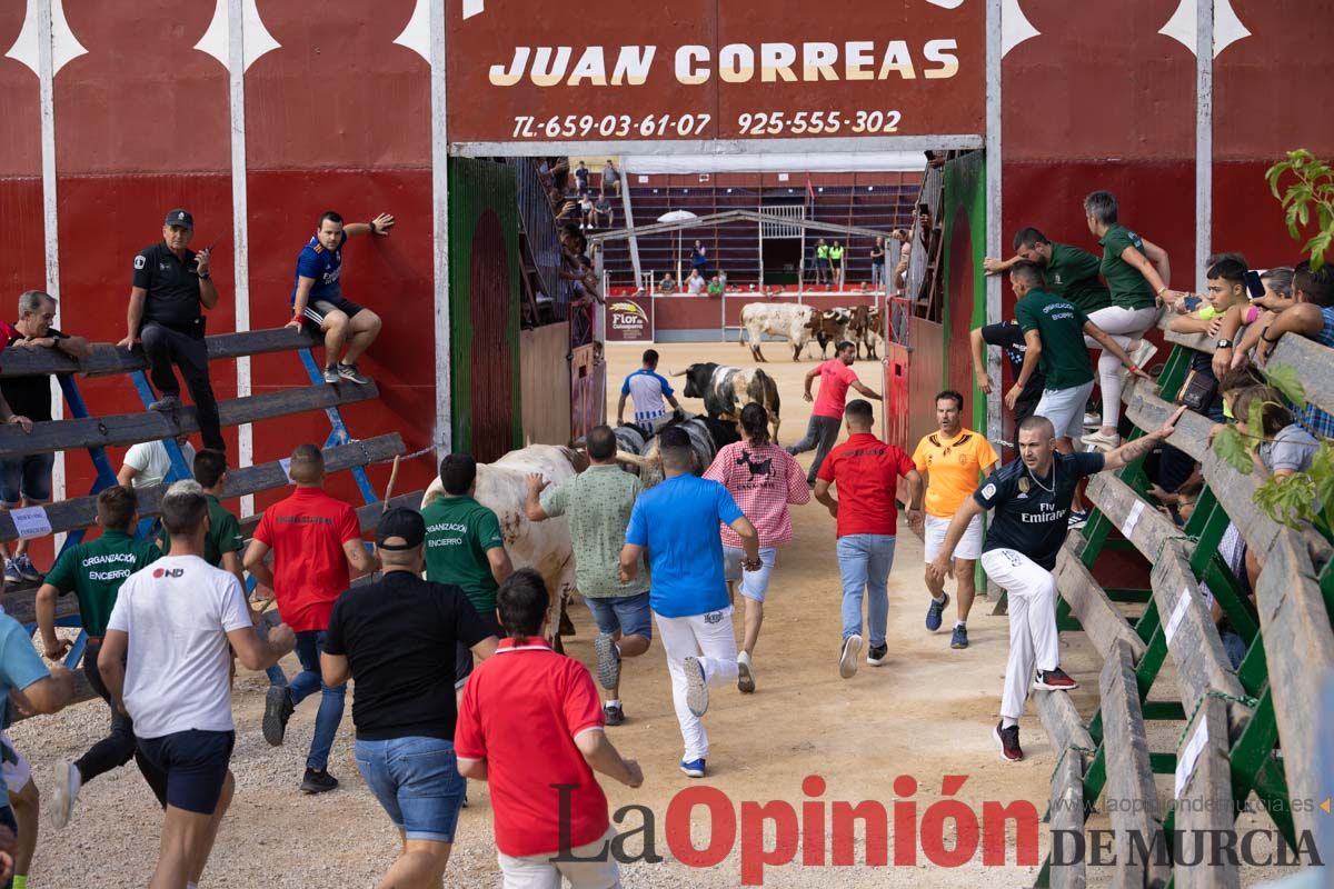 Primer encierro de la Feria del Arroz de Calasparra