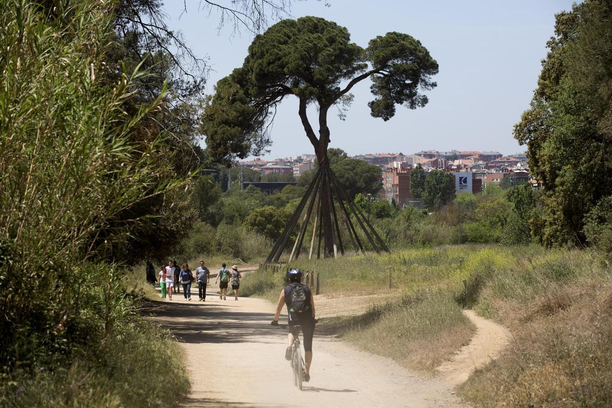 Visitantes en el Parc de Collserola