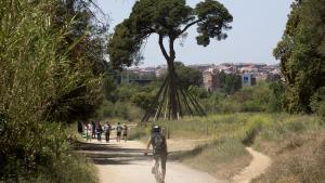 Visitantes en el Parc de Collserola