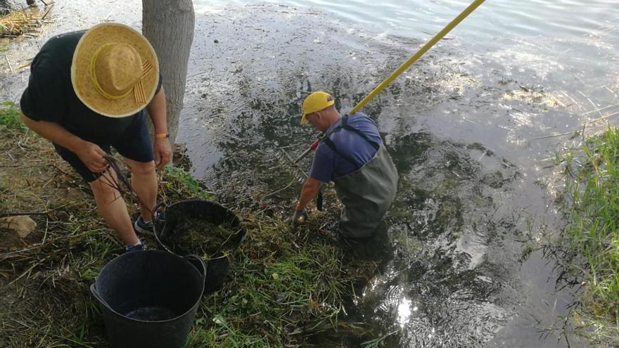 Almenara treballa per a mantindre la biodiversitat