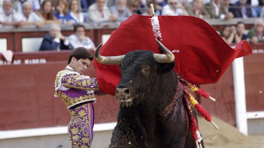 El TC aborda en el ple d&#039;aquesta setmana el recurs del PP contra la prohibició dels toros a Catalunya