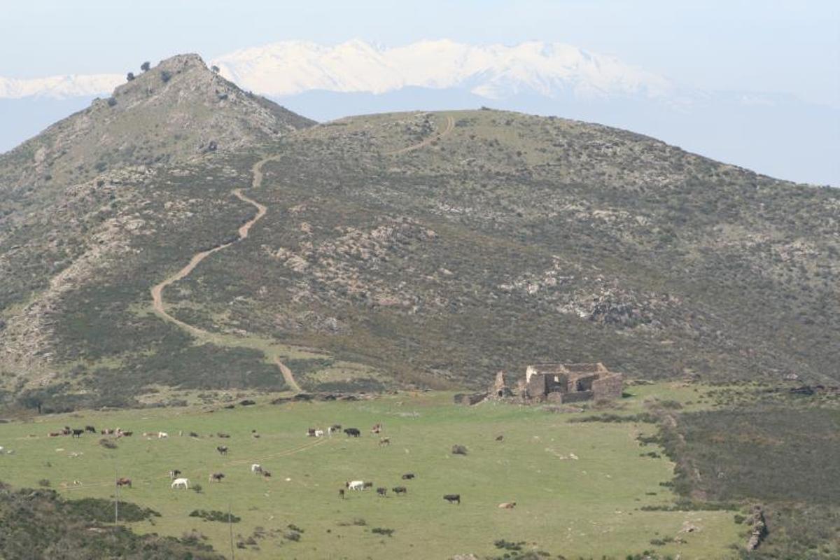 5 El Mas dels Arbres, que manté l’estructura original malgrat les obres que s’hi estan fent. F  | CONXI MOLONS