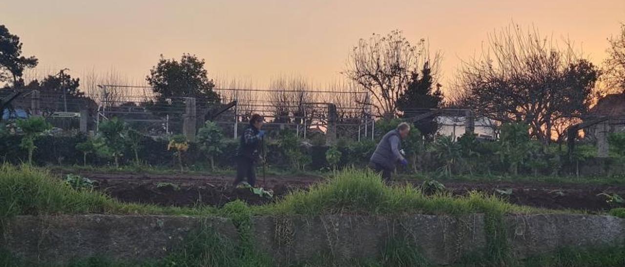 Dos mujeres sembrando al atardecer, en San Vicente.   | //  M. MÉNDEZ