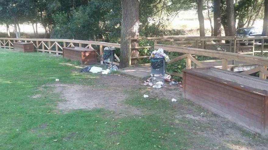 La basura desborda papeleras y en otros puntos del área. // FdV