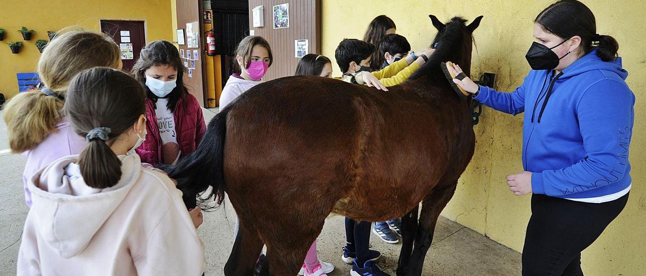 Actividades en el campamento ecuestre durante la mañana de ayer.   | // Bernabé/Javier Lalín