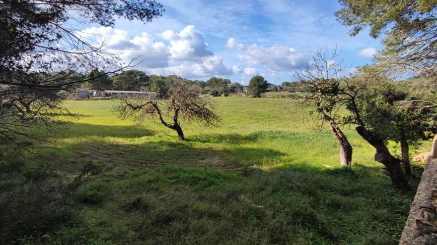 Imagen de los terrenos donde se debe ubicar el nuevo aparcamiento. | BIEL CAPÓ