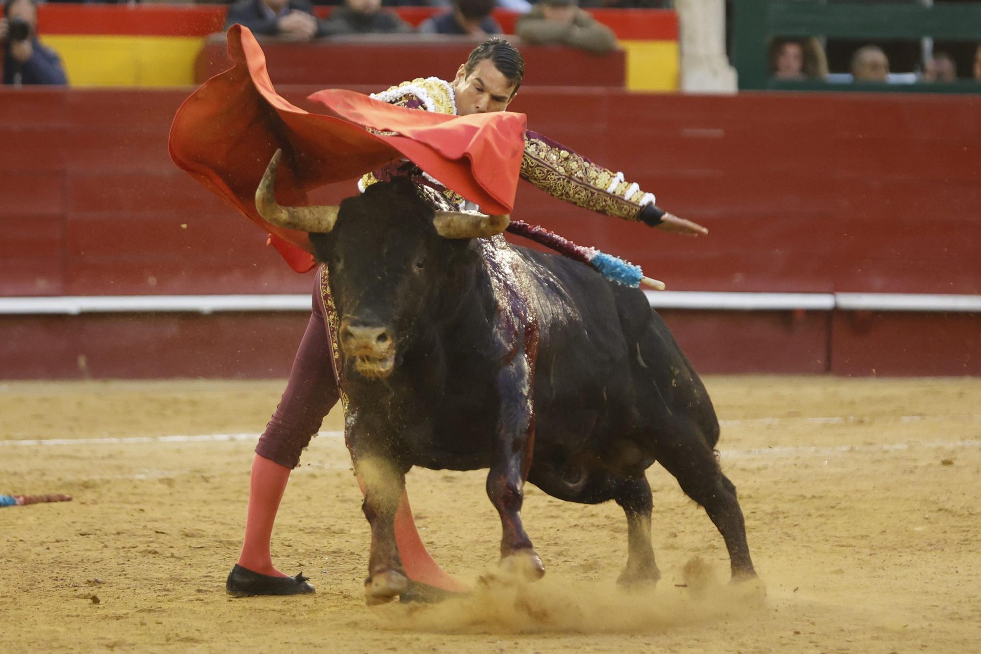 El triunfo de Manzanares y Tomás Rufo en las Fallas 2023