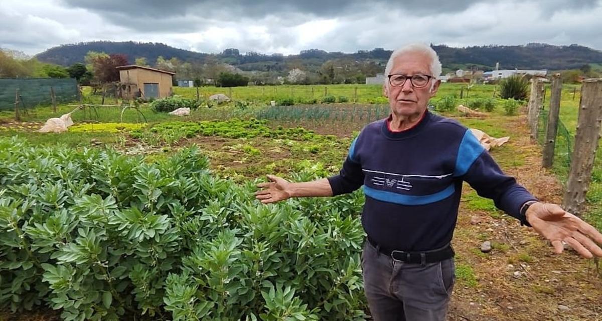 Tenir 85 anys i una "analítica perfecta": "Com potatge cada dia; la faba de maig i el pèsol és el més bo que hi ha per a una menestra"