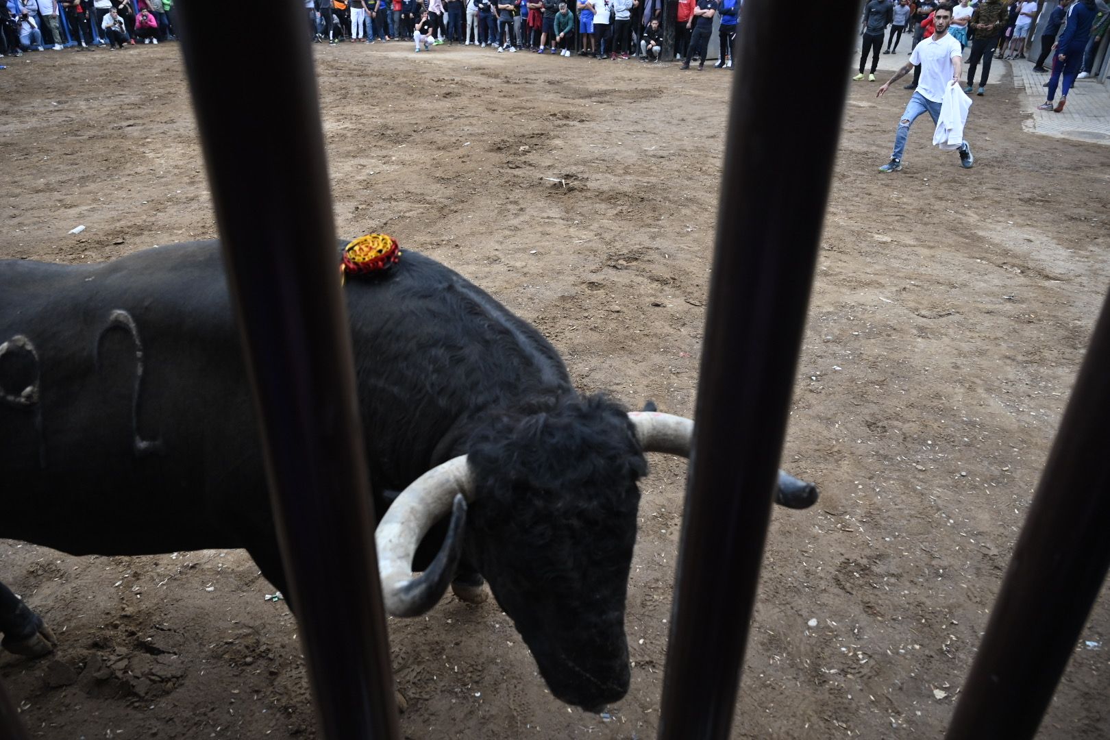 Galería | Las imágenes de la penúltima tarde de toros de las fiestas de Almassora