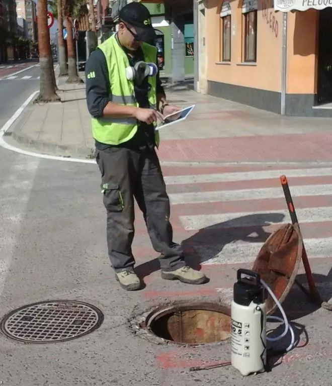 València triplica su presupuesto para el control de plagas