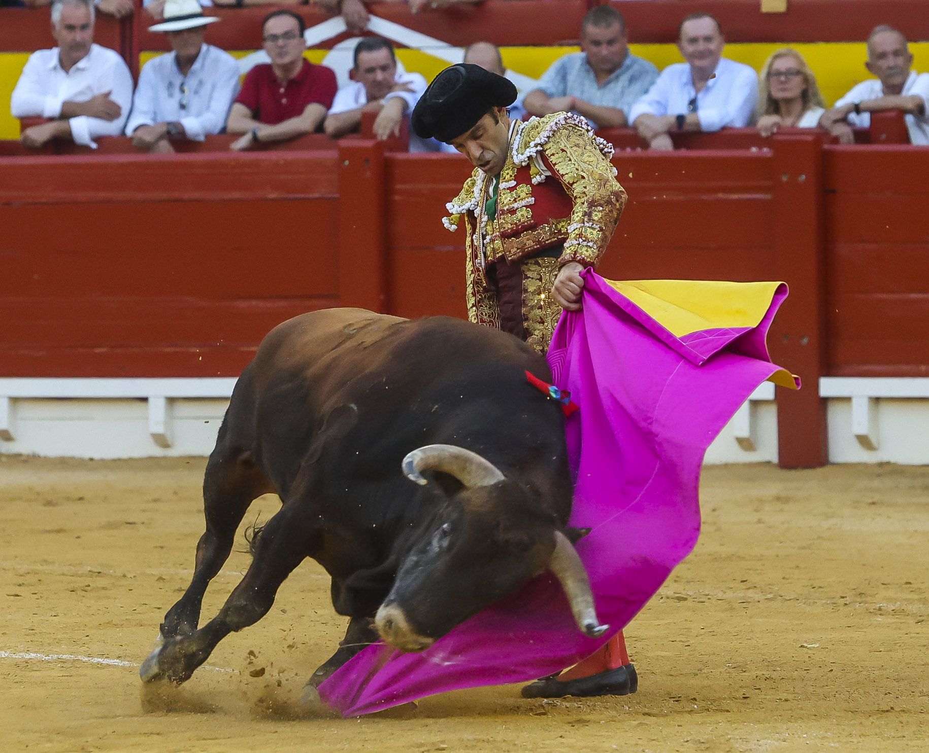 El gran José Tomás revoluciona la plaza de toros de Alicante