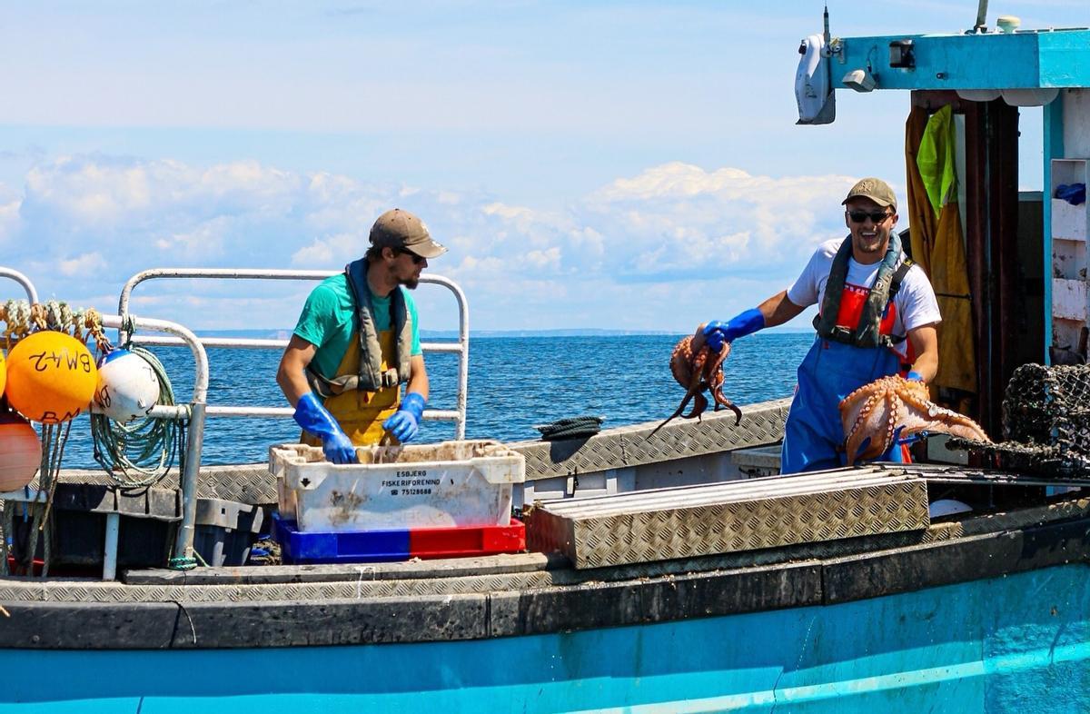 Pescadores británicos con el pulpo capturado a bordo