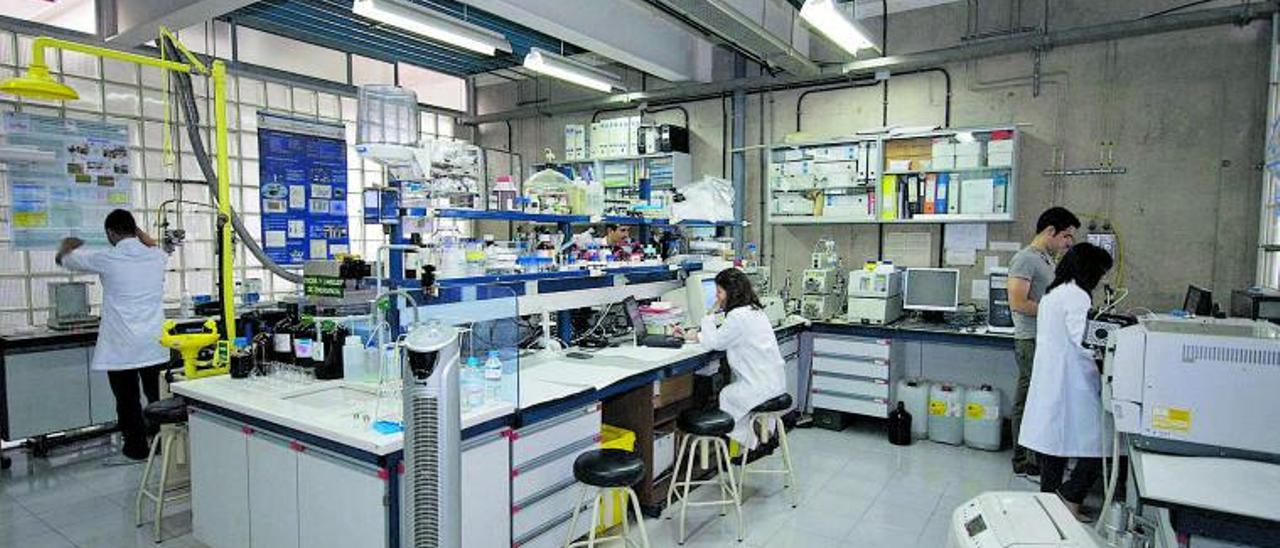 Investigadores del laboratorio de Química Marina de la Universidad de Las Palmas de Gran Canaria (ULGPC).