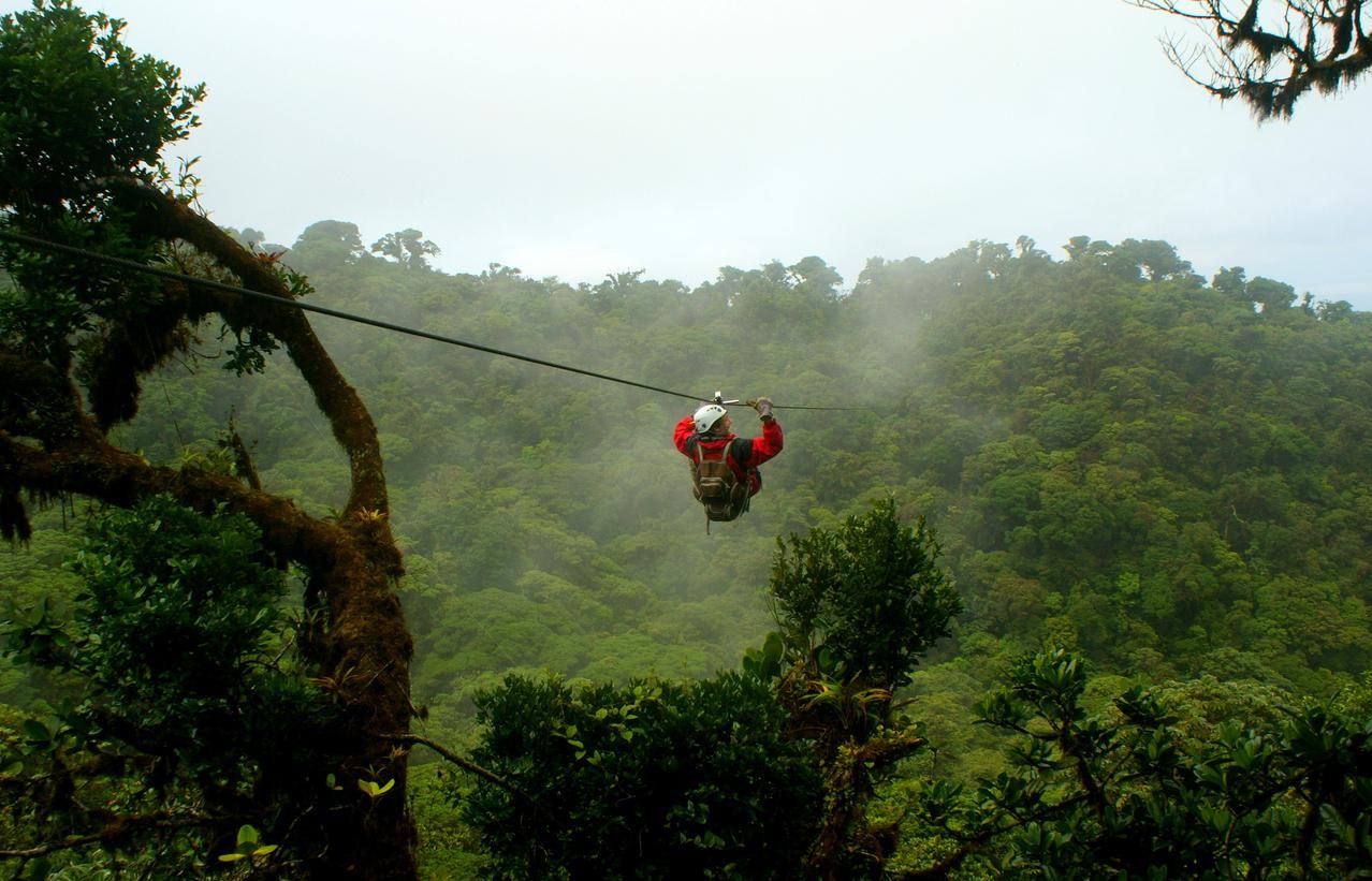 Turista en un paseo en tirolesa sobre un conyon bosque nuboso en Monteverde