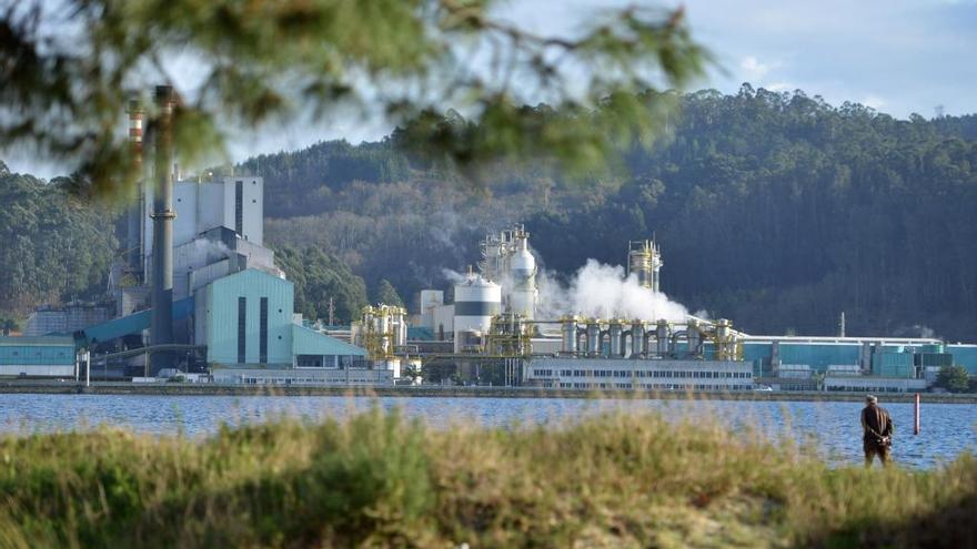 Fábrica de Ence desde Lourido