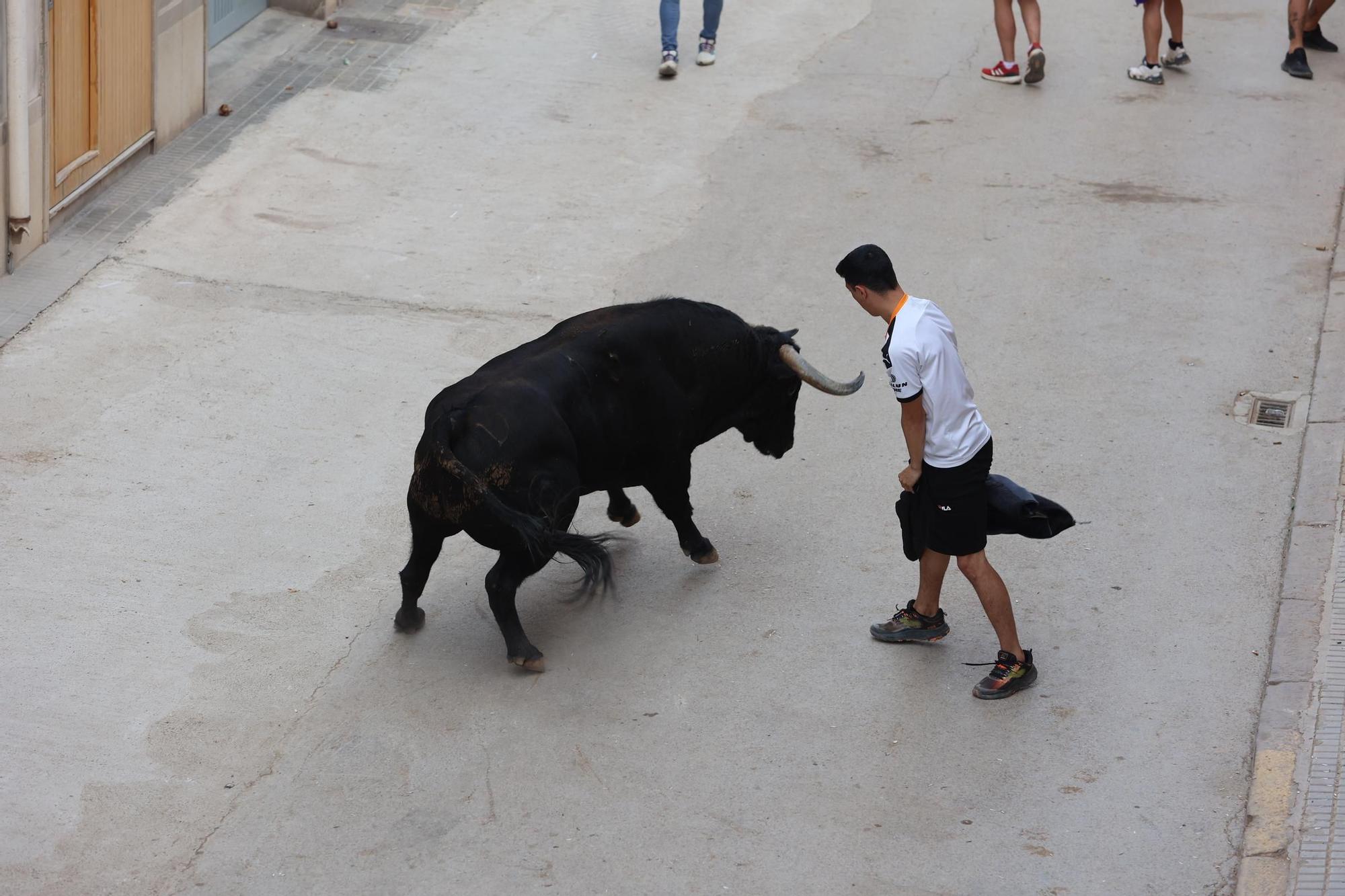 Las imágenes del ciclo taurino de Santa Quitèria en Almassora