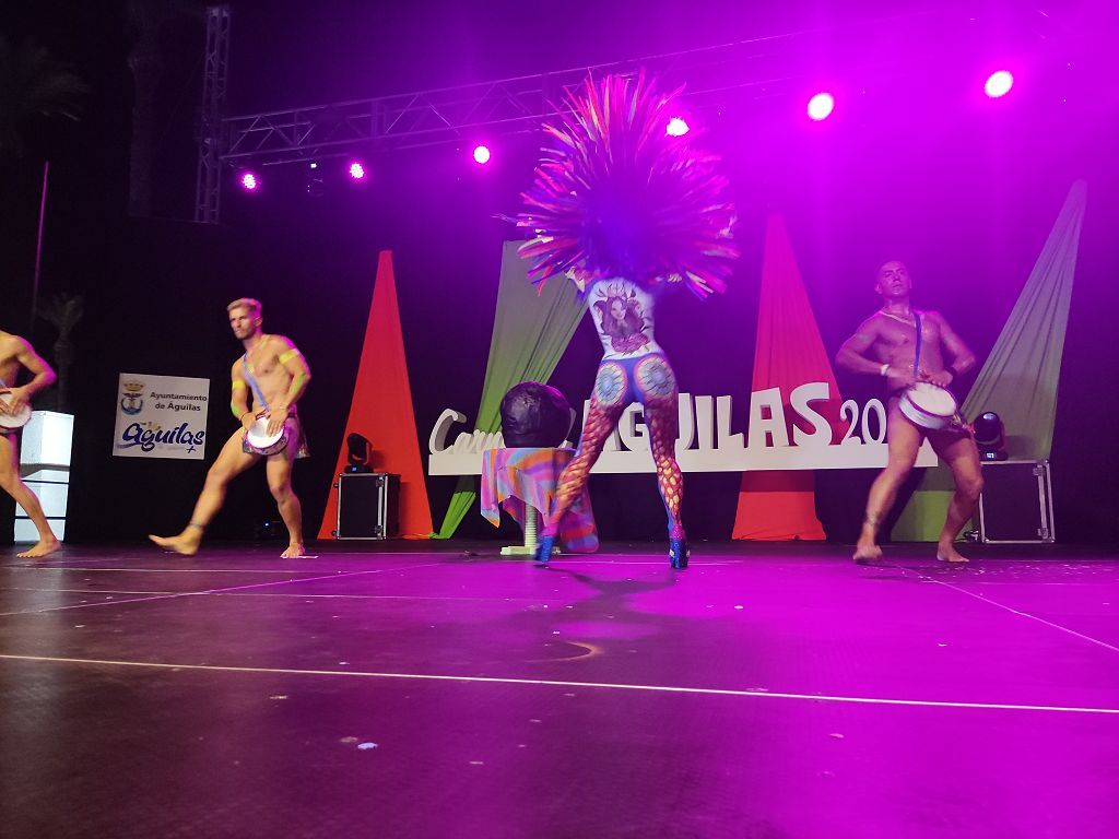 Gala Trajes de Papel del Carnaval de Águilas