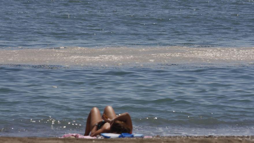 Natas en una playa de la capital de la Costa del Sol.