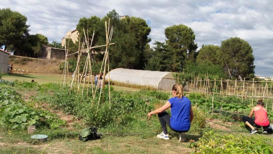 Els horts socials de la Culla es podran visitar dimarts