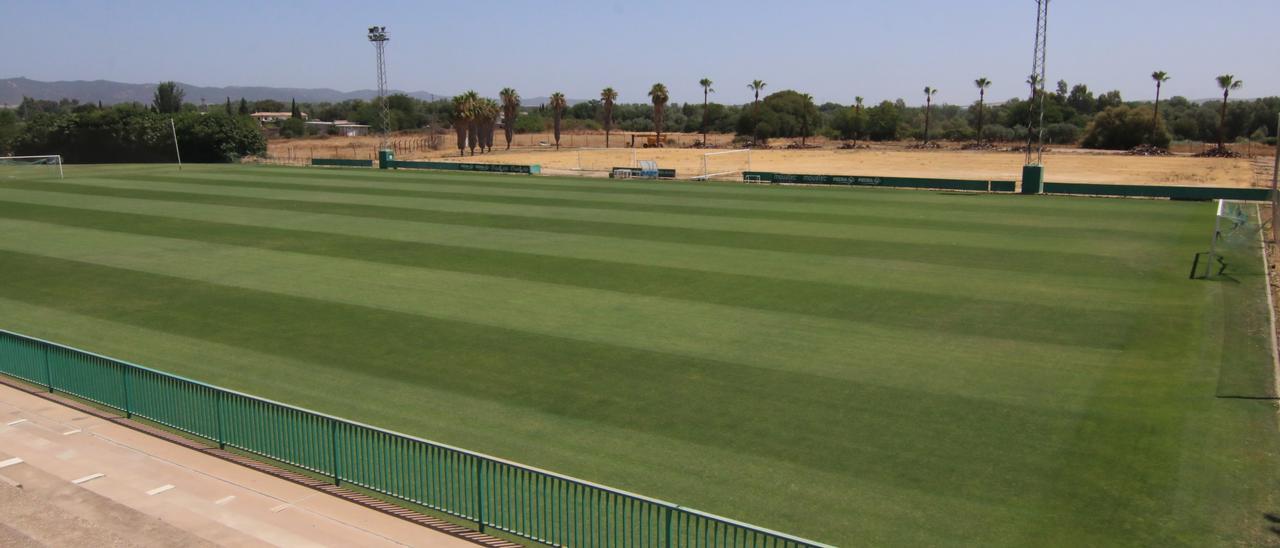 Vista del inmejorable aspecto que presentaba el campo grande de la Ciudad Deportiva, este lunes.