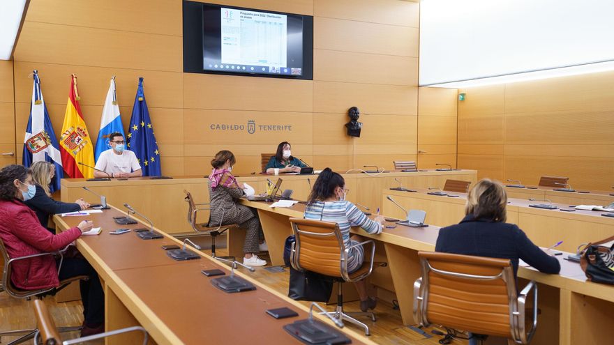 The Cabildo and municipalities of Tenerife will relaunch the Social Tourism project for the elderly