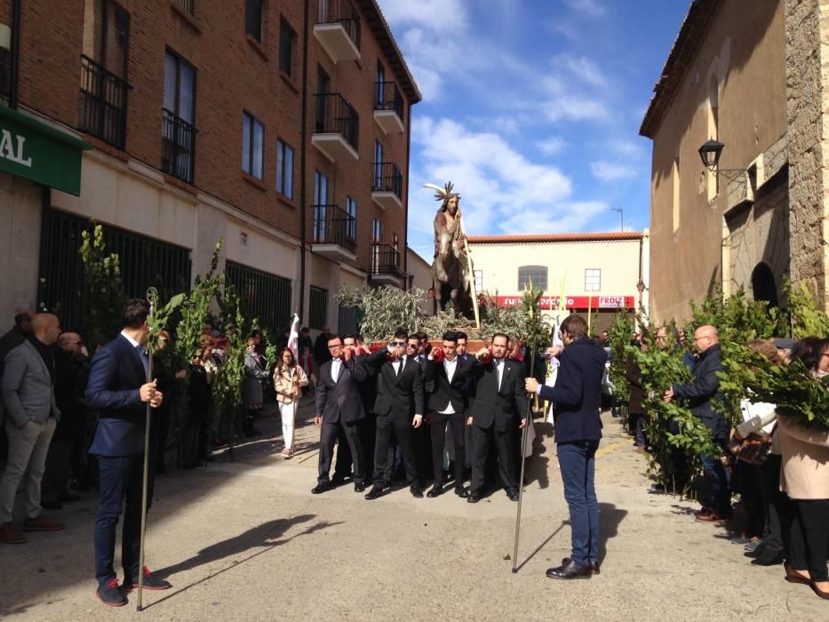 Semana Santa en Zamora: Borriquita en Toro