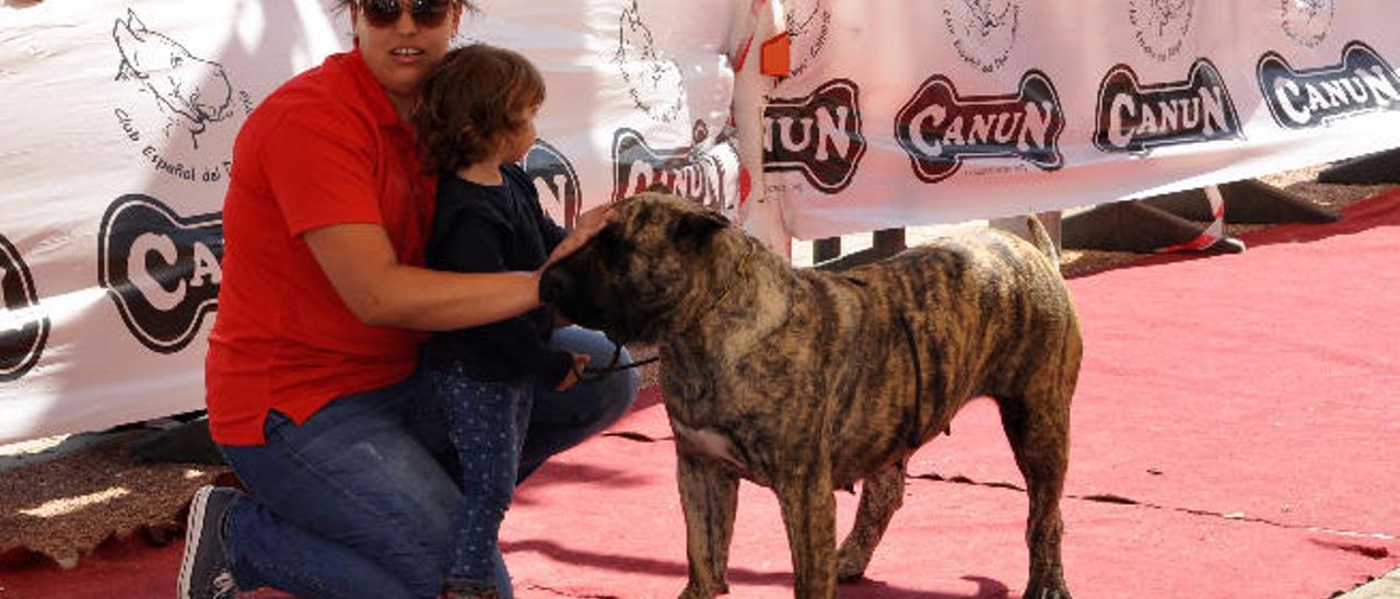 Uno de los pequeños presentadores del concurso con su perro.