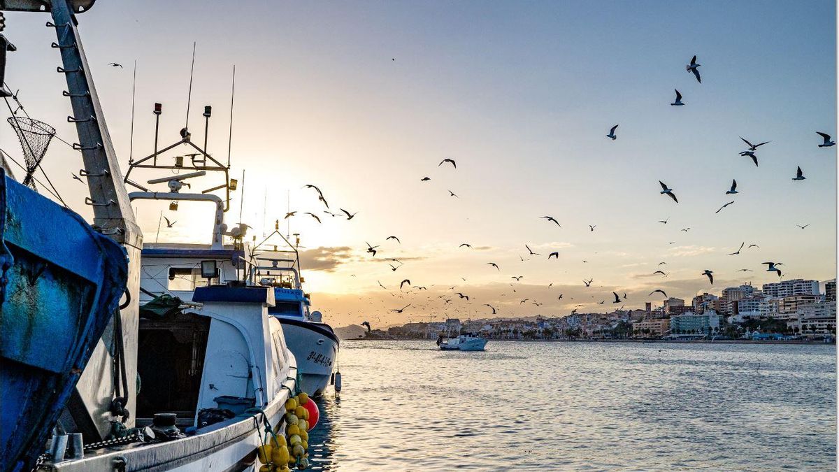 Una imagen del atardecer desde una de las barcas de la Vila.