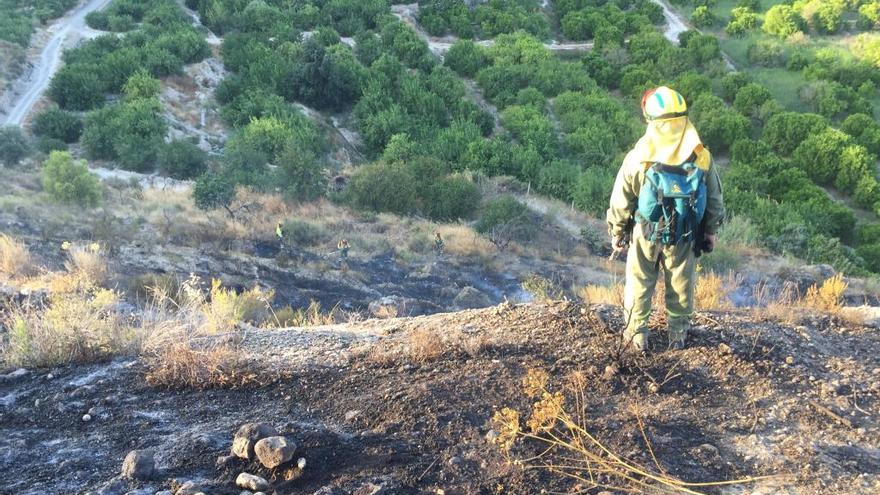 Alerta por un incendio forestal entre Blanca y Abarán