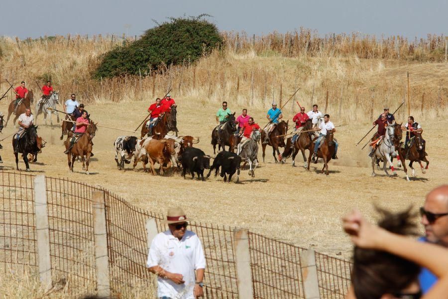 Fiestas en Zamora: Espantes en Fuentelapeña