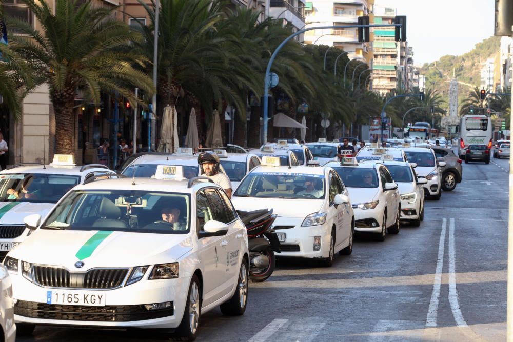 Taxistas de Alicante y Elche colapsan las principales calles de la capital