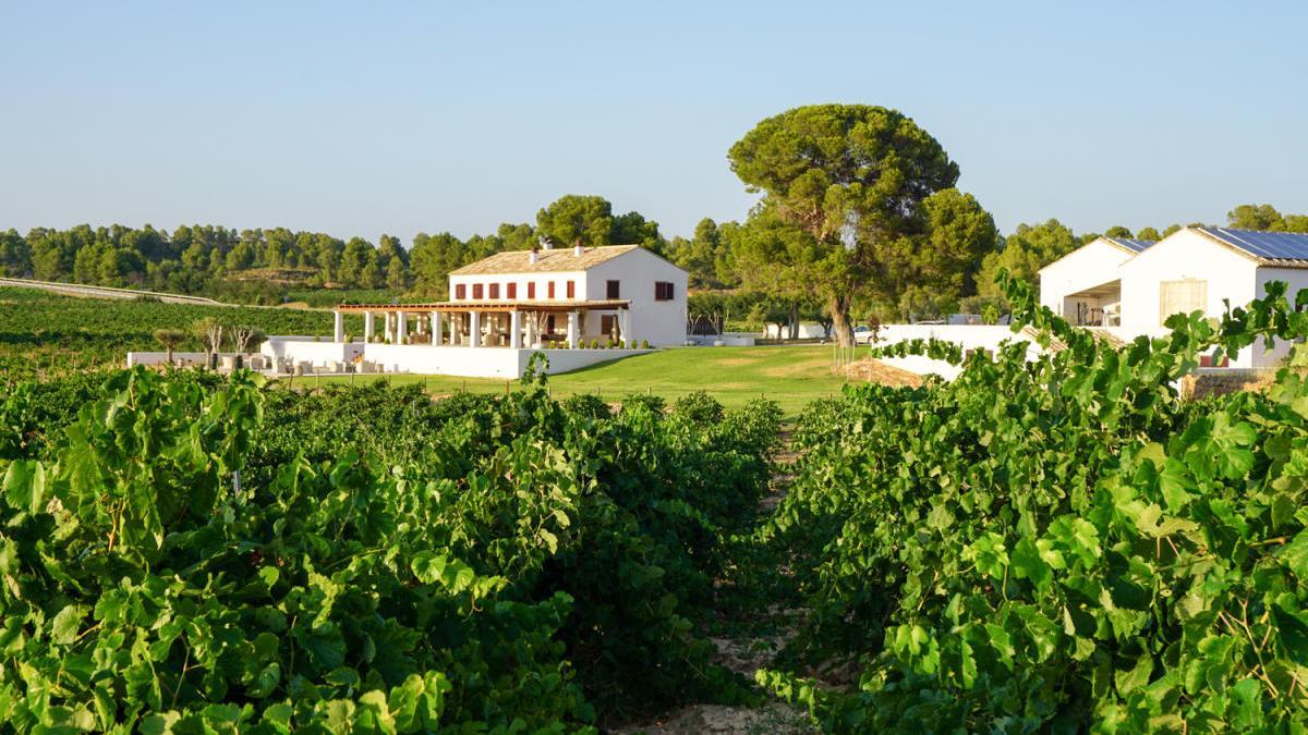 Panorámica de las instalaciones de Finca Cor Ví en el término de Requena.