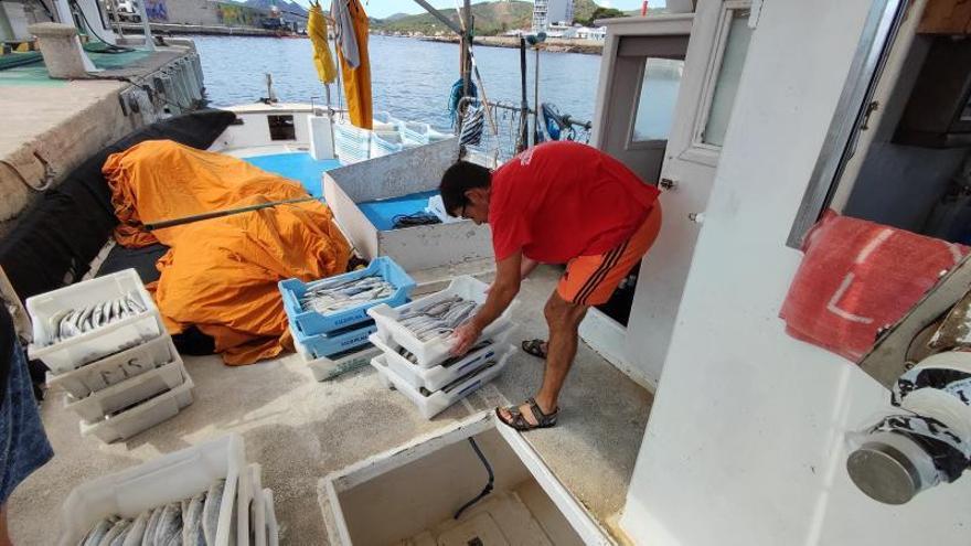 Un pescador coloca en las bandejas las piezas pescadas.