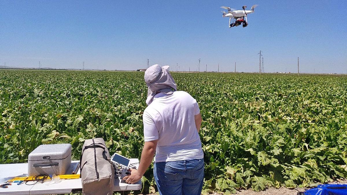 Utilización de un dron para la gestión de una explotación agraria.
