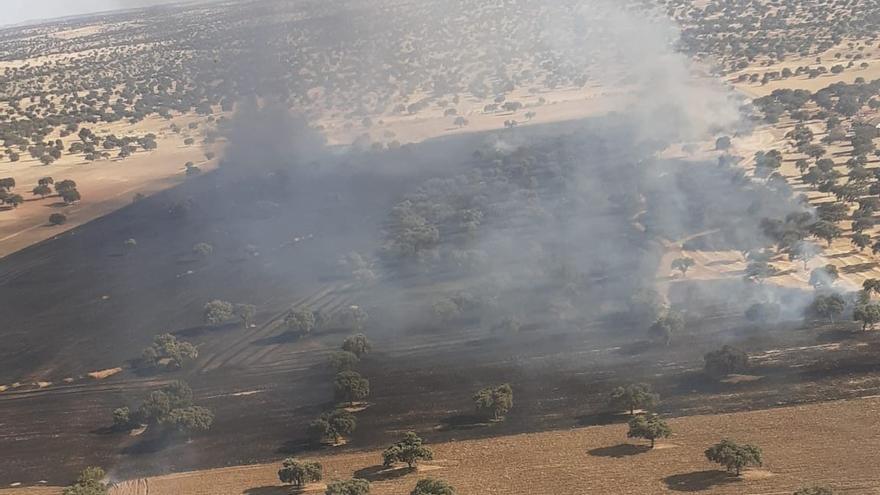 Primeras imágenes del incendio forestal de Santa Eufemia.