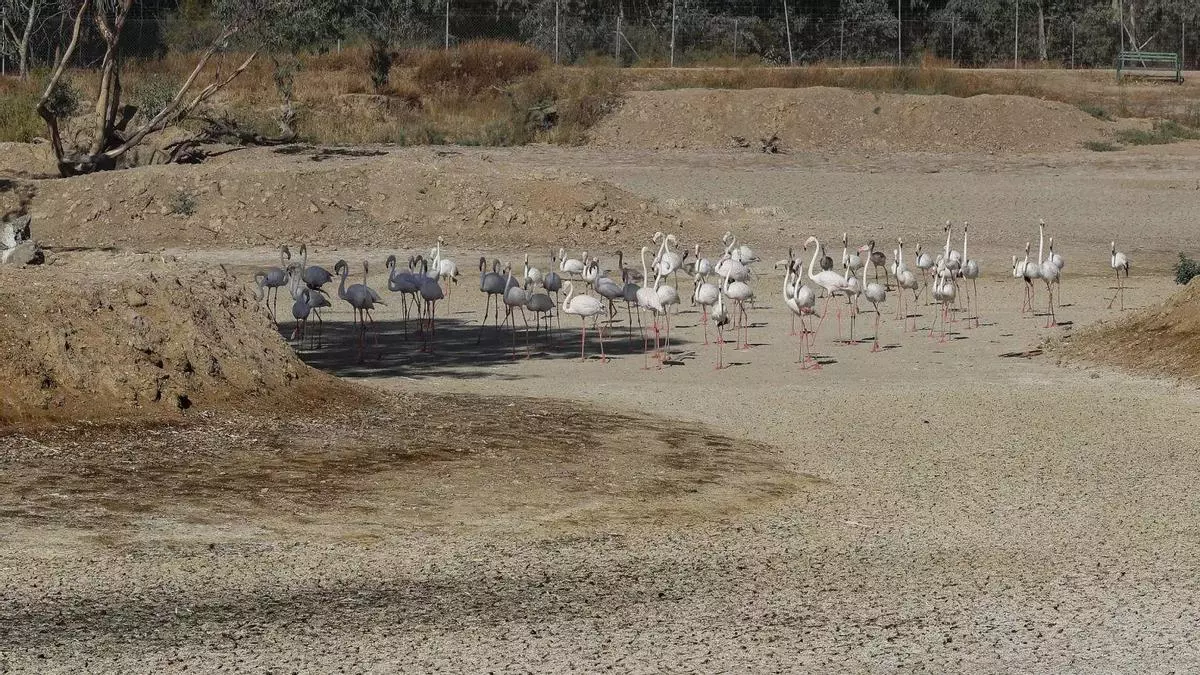 La Unesco urge a mejorar el acuífero de Doñana para no entrar en la Lista de Patrimonio en Peligro