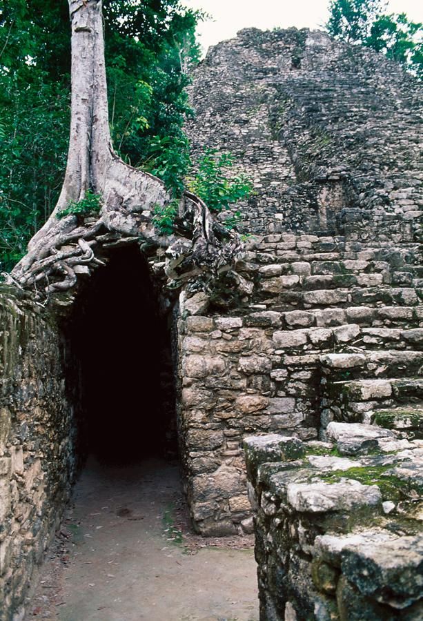 Gruta maya en Coba