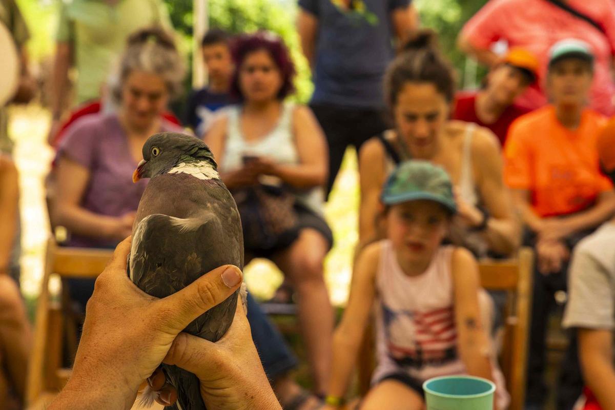 Les imatges de la Festa del Riu de Manresa