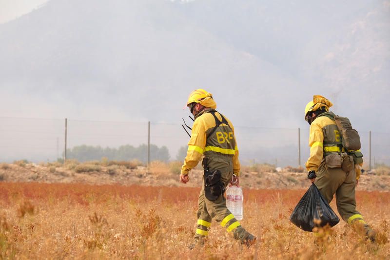 Declarado un incendio en una zona de barranco de Beneixama